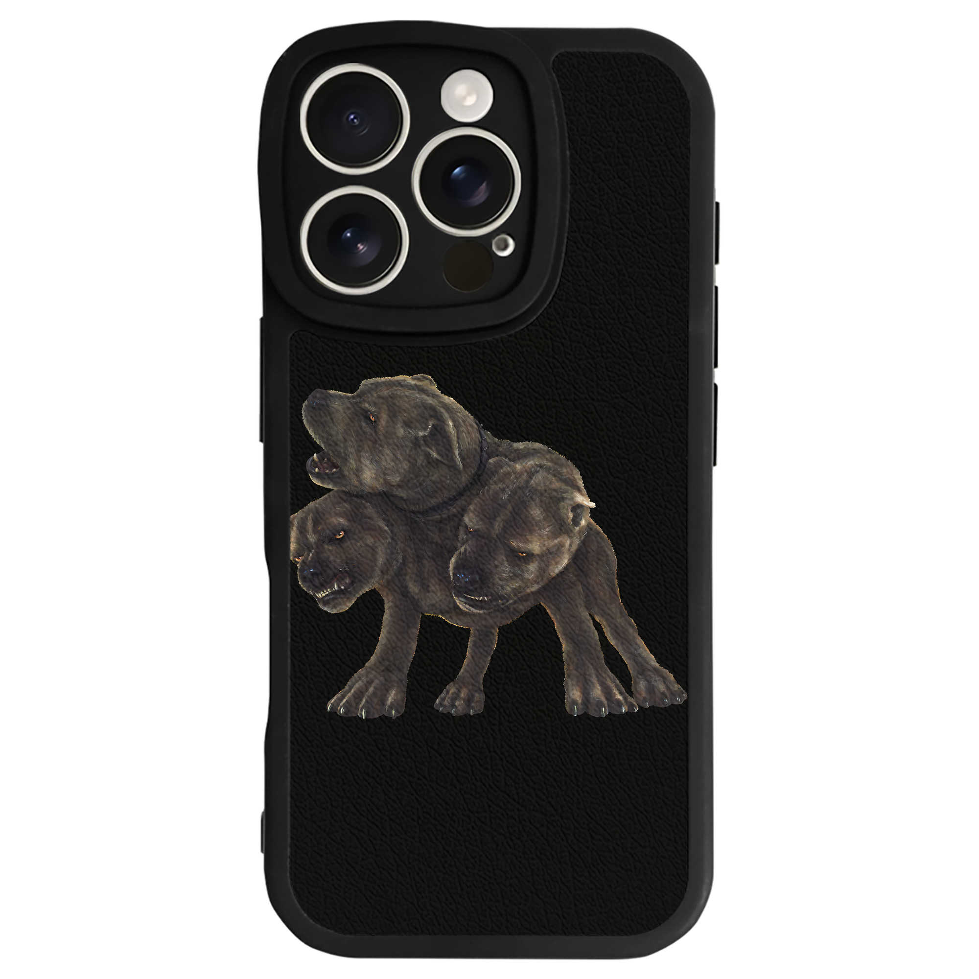 （画像用） Harry Potter ハリー・ポッターシリーズ 【iPhone 16シリーズ対応】シリコンスマホケース（レザー調） 材質：シリコン